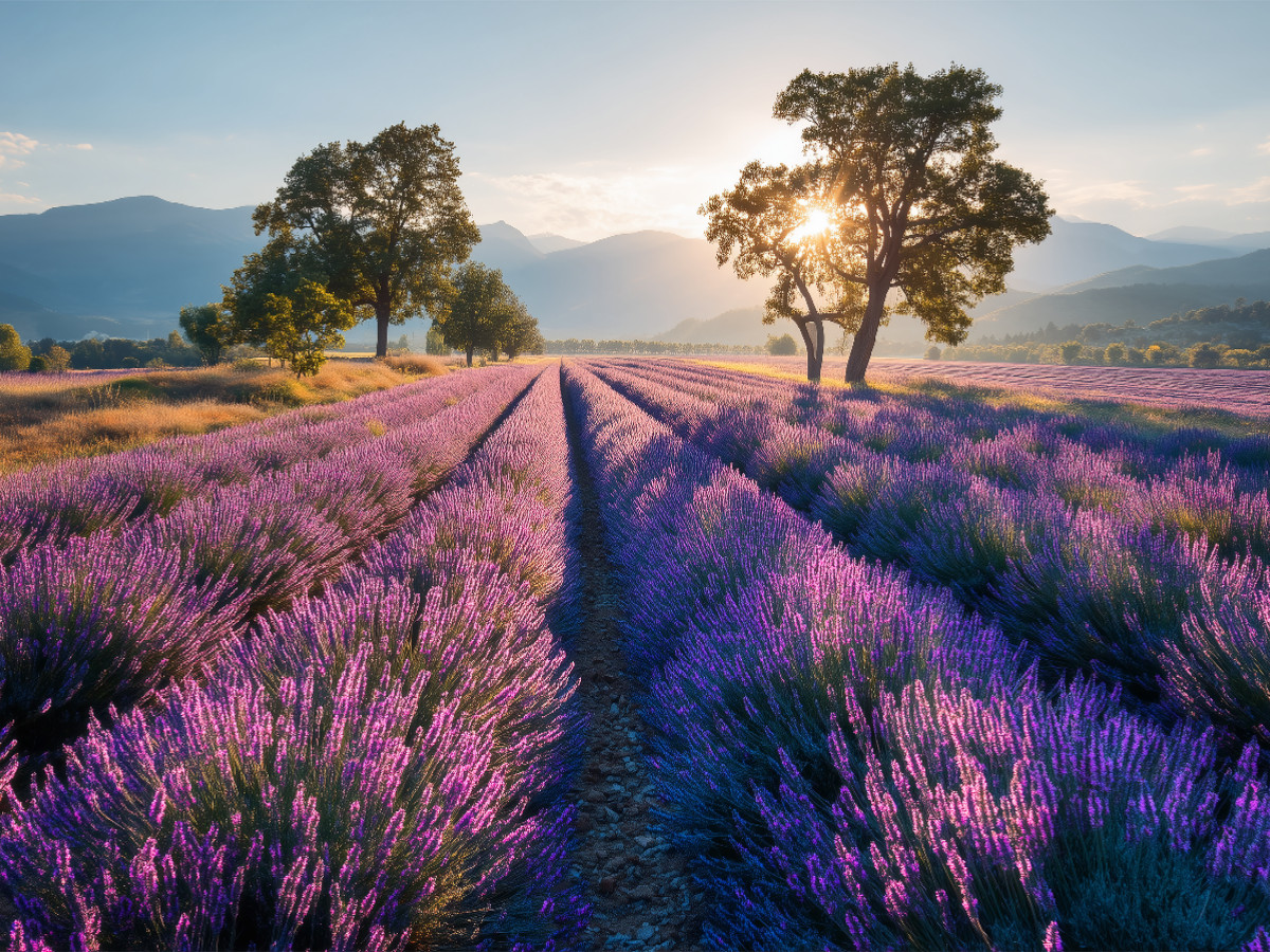 Ein Motiv aus dem Kalender Ein Hauch von Süden