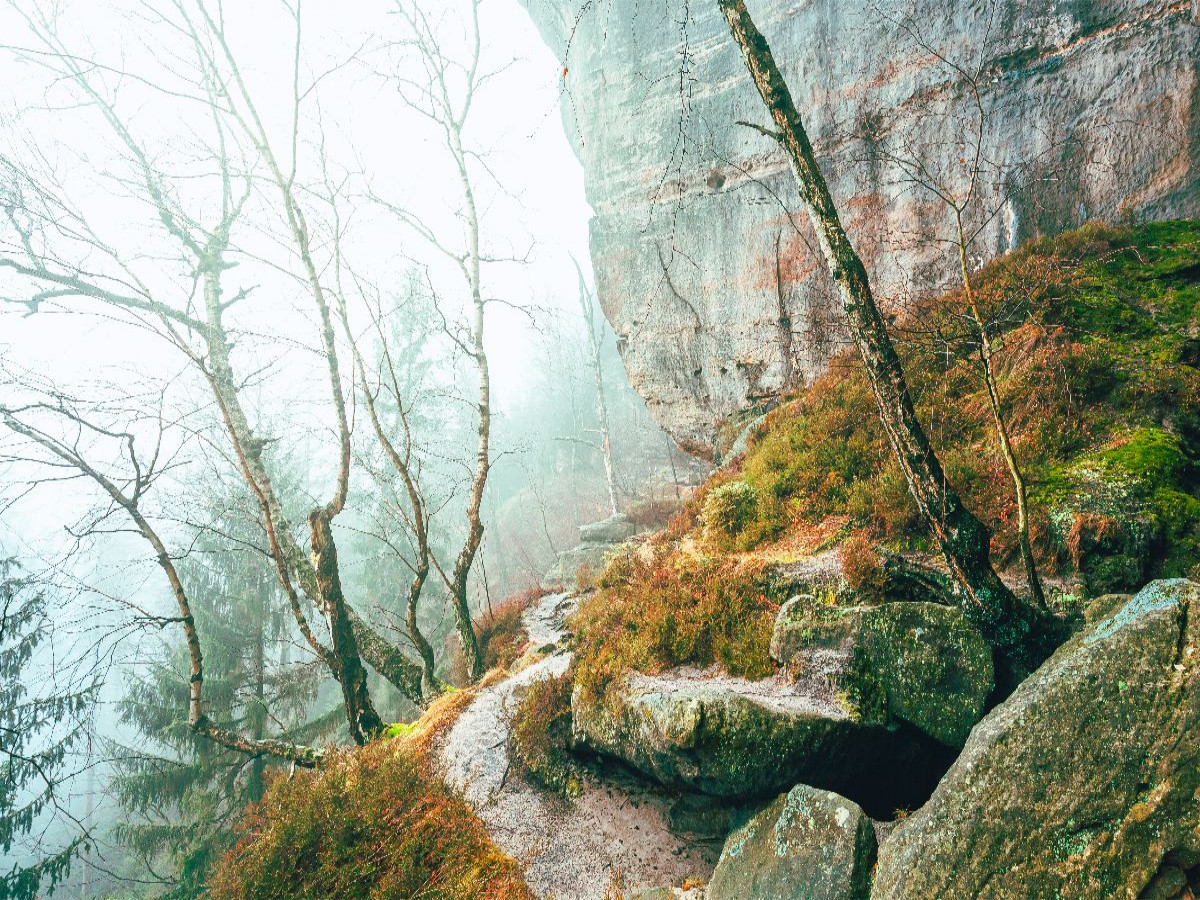 Unterer Terrassenweg, Sächsische Schweiz