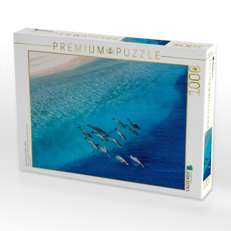 Durch Strömung und Tide - Delfine