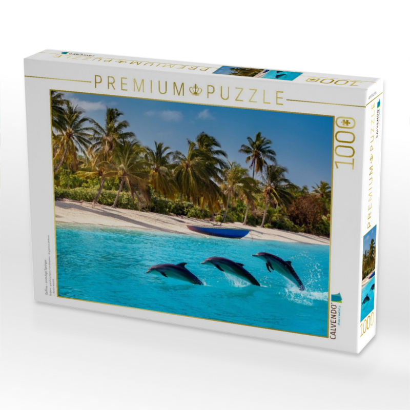 Delfine - anmutige Springer