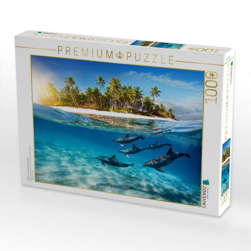 Delfine vor einer Palmeninsel