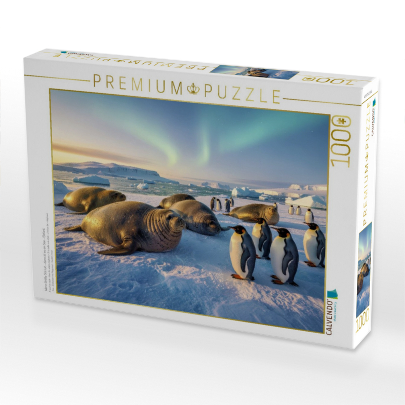 Wenn Größe Stil hat – dann ist es ein See - Elefant.