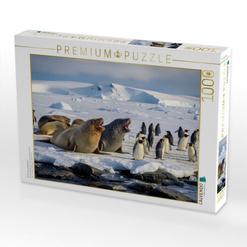 Groß, grau, gut gelaunt.