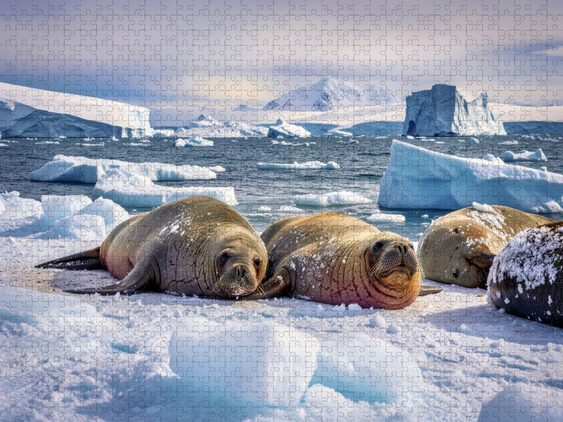 Die Naturformel für echte Power.