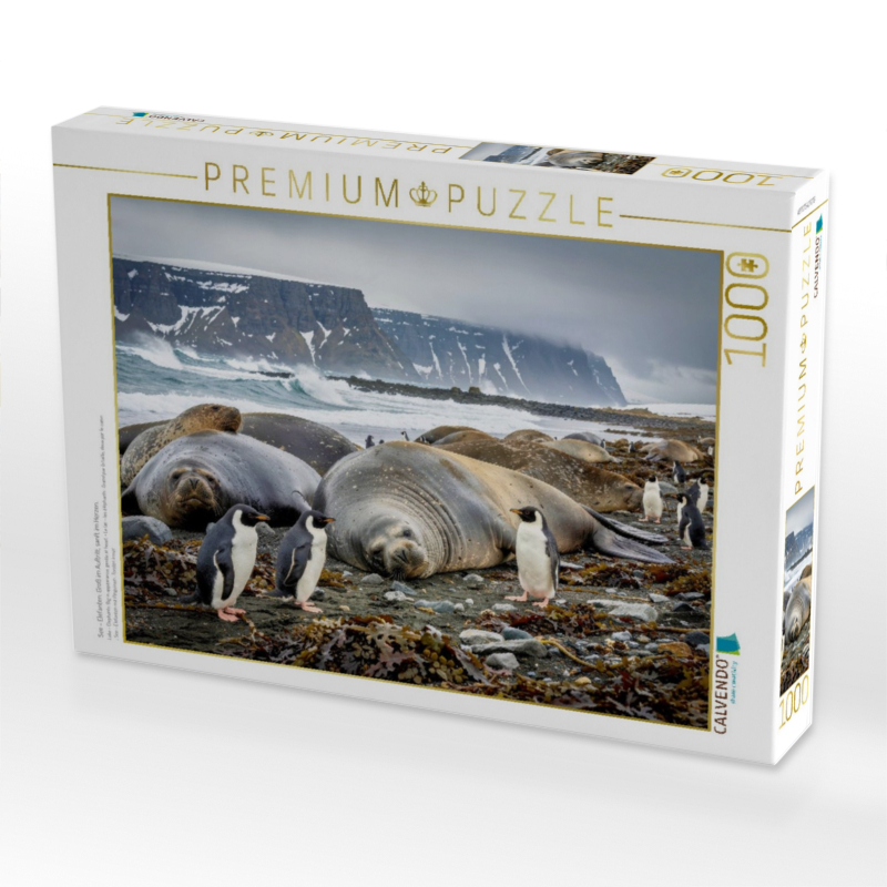 See - Elefanten: Groß im Auftritt, sanft im Herzen.