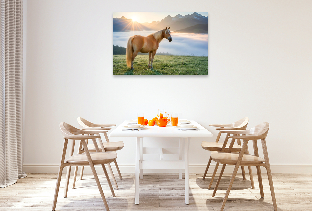 Haflinger Pferd im Morgennebel