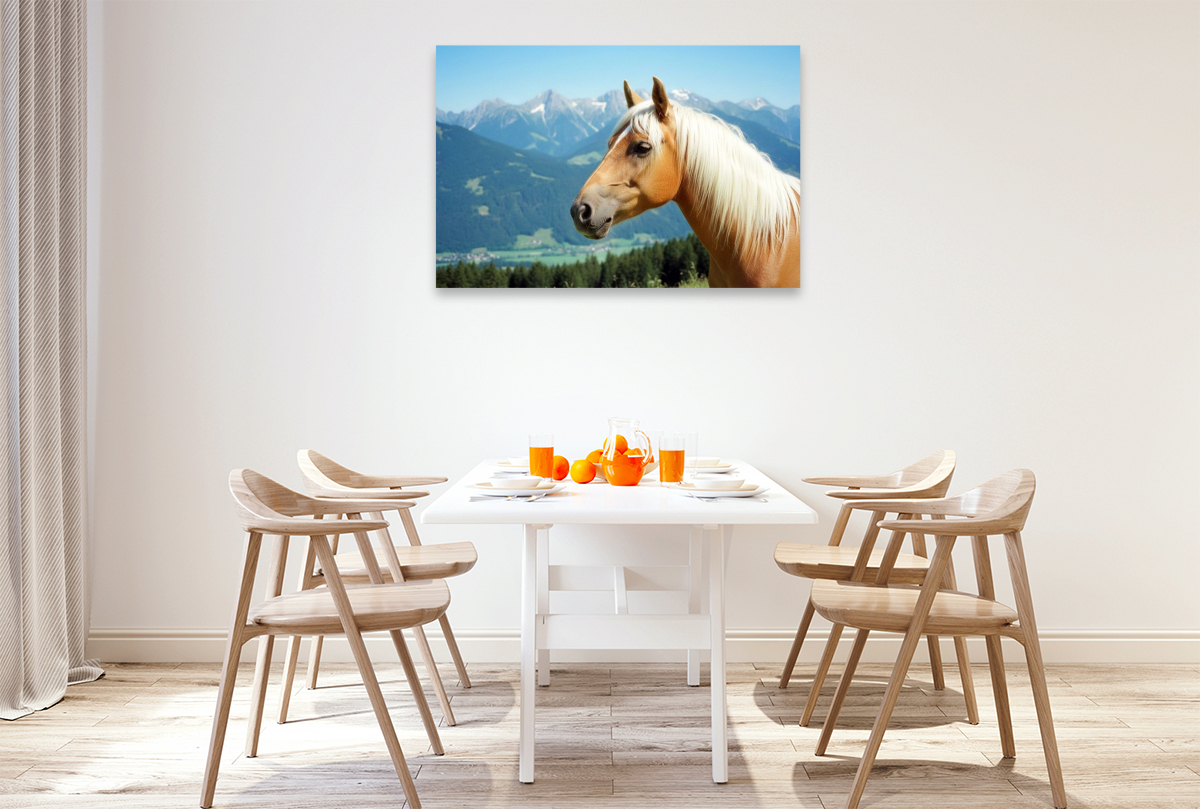 Haflinger Hengst Portrait