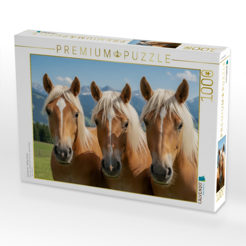 Drei Freunde - Haflinger Pferde