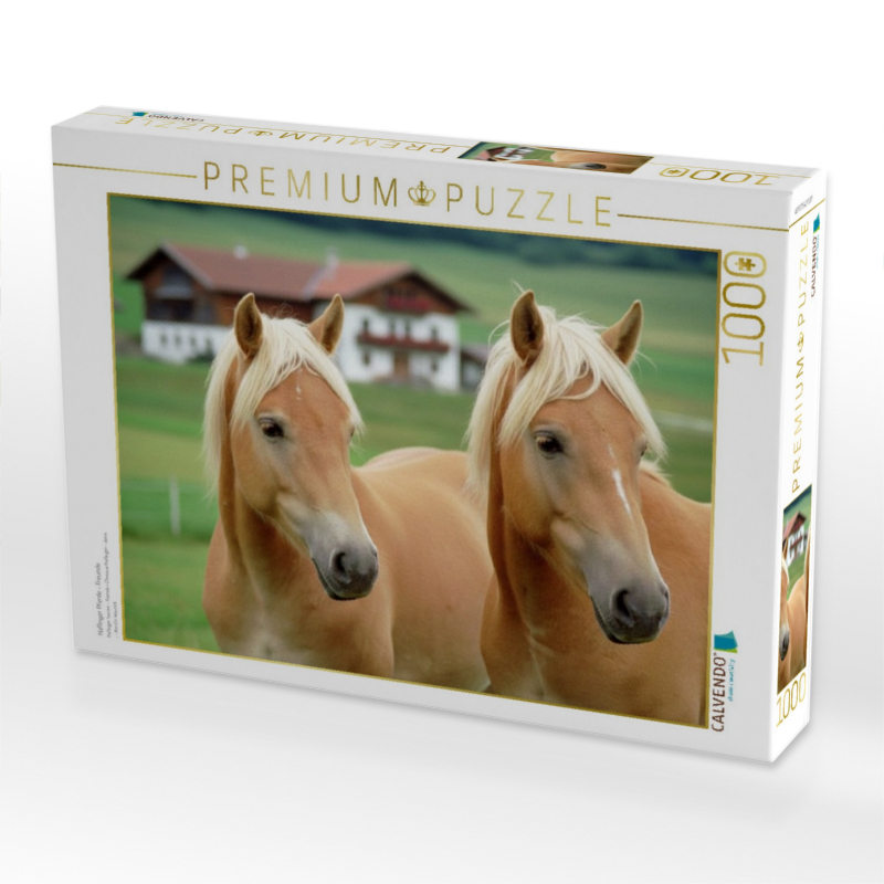 Haflinger Pferde - Freunde