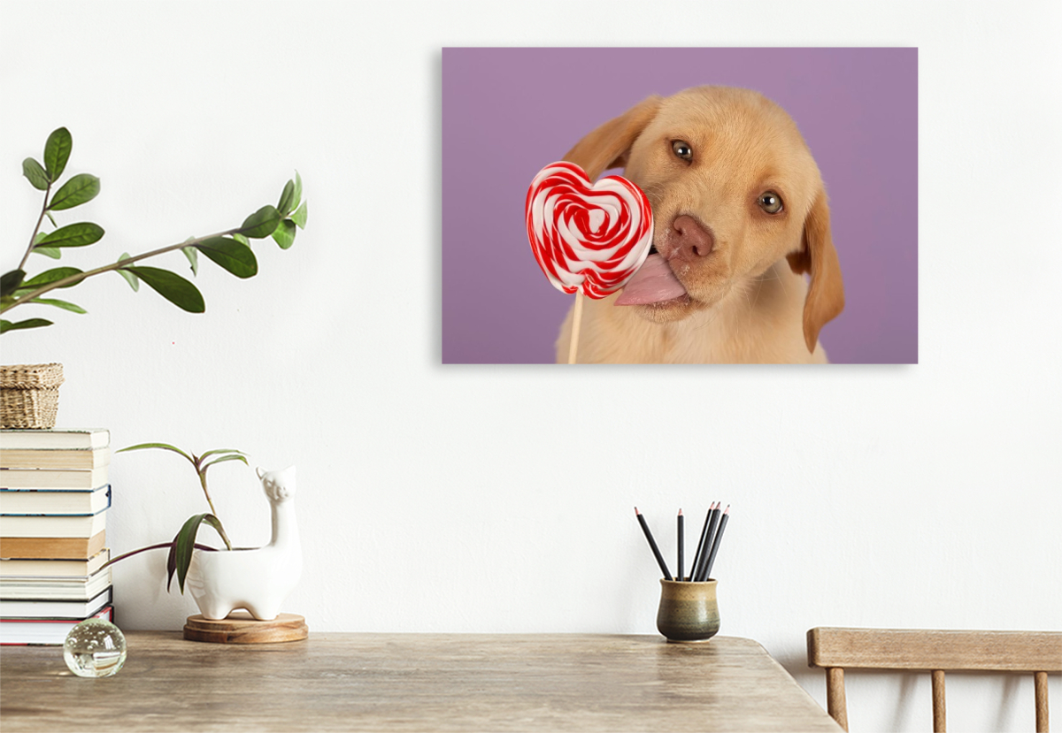 Ein Motiv aus dem Kalender Achtung, die Welpen kommen.