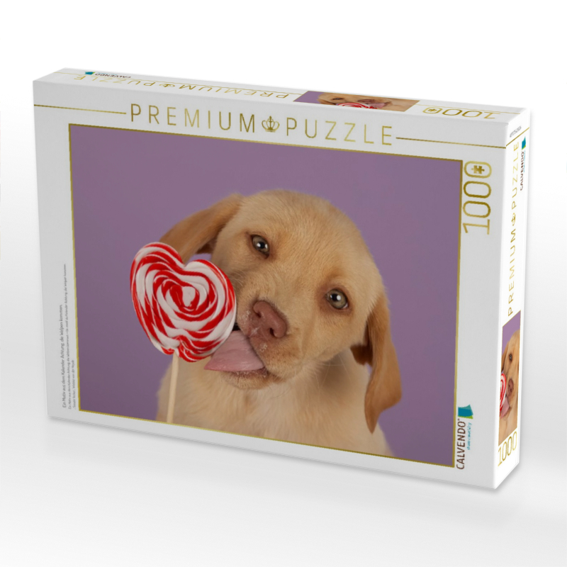 Ein Motiv aus dem Kalender Achtung, die Welpen kommen.