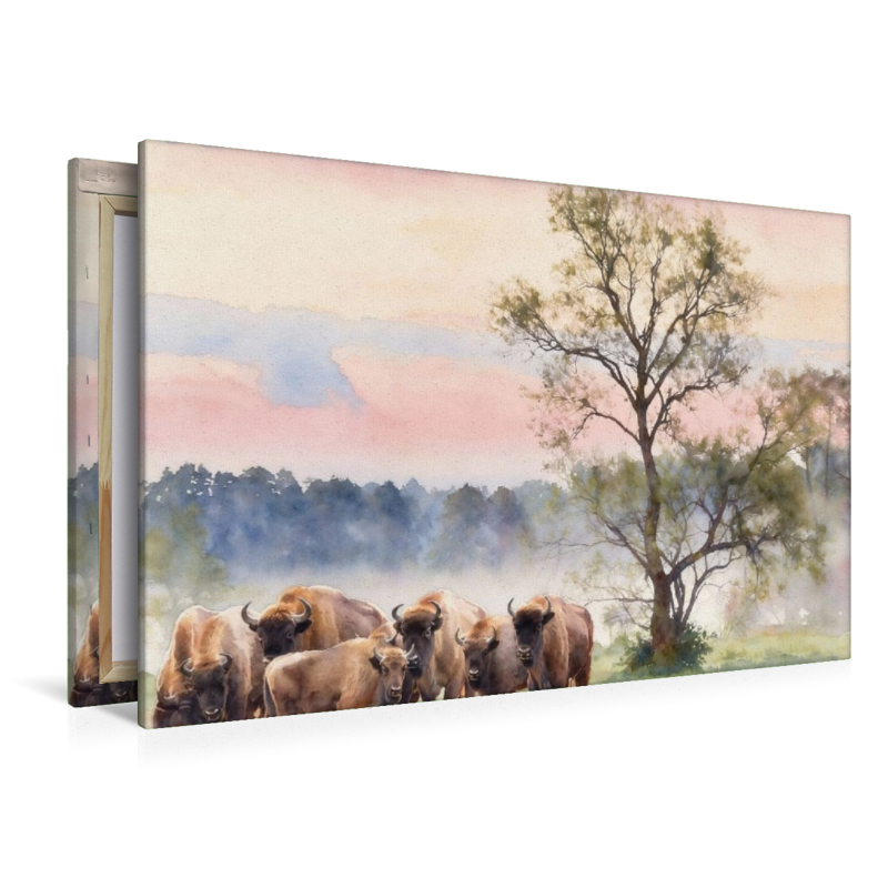 Wisente im Nationalpark Bialowieza