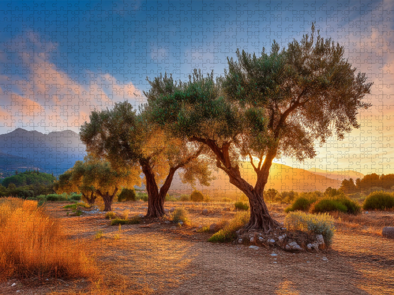 Die Zeit der Ernte und des Lichts