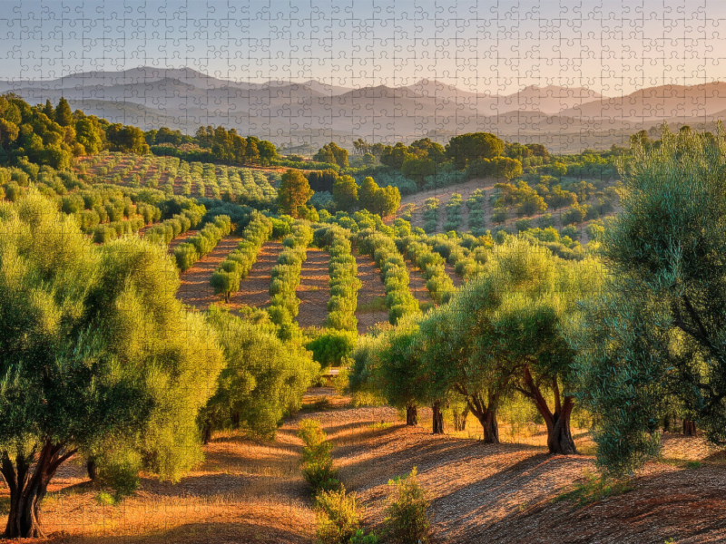 Ein grünes Gedächtnis der Landschaft