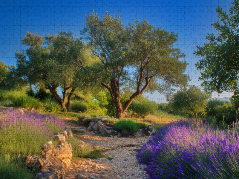 Wenn die Landschaft zur Erinnerung wird