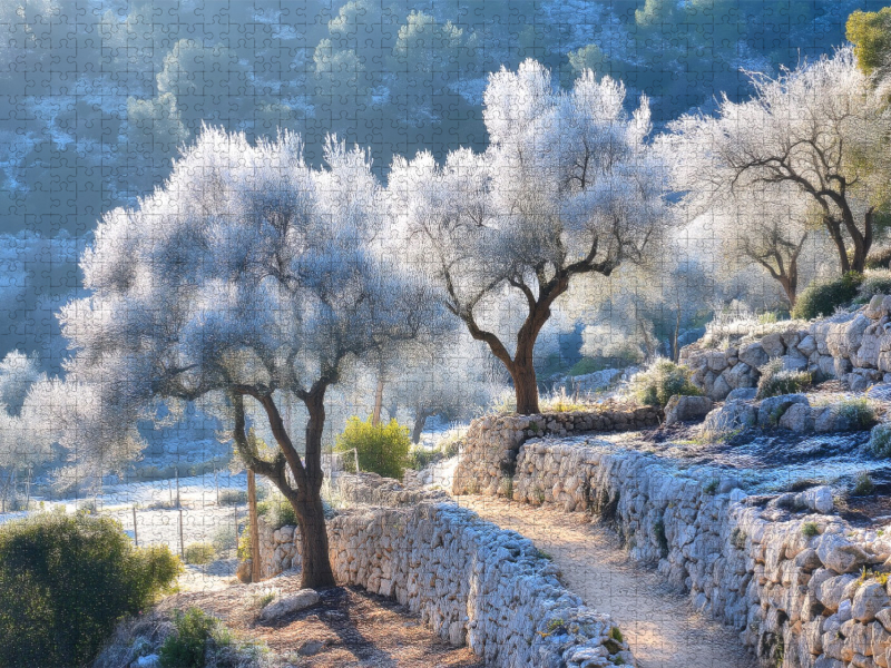 Stille liegt auf den silbernen Zweigen