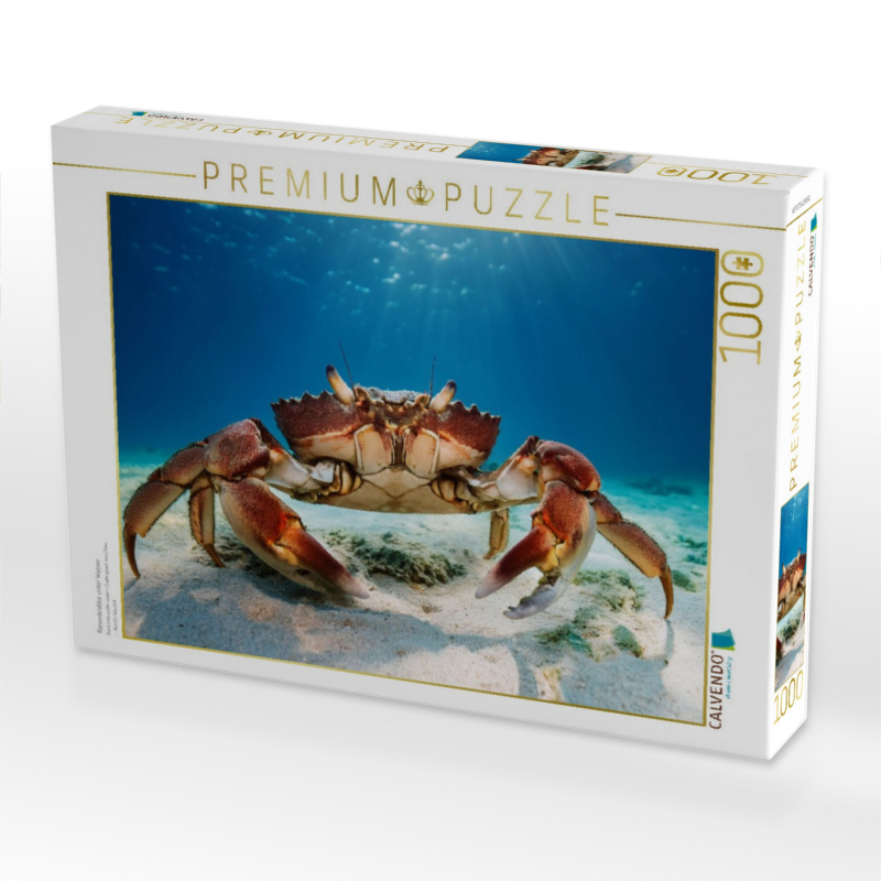 Riesenkrabbe unter Wasser