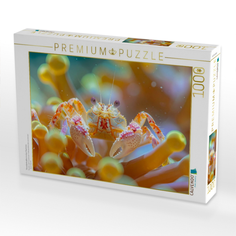 Porzellankrabbe in einer Anemone