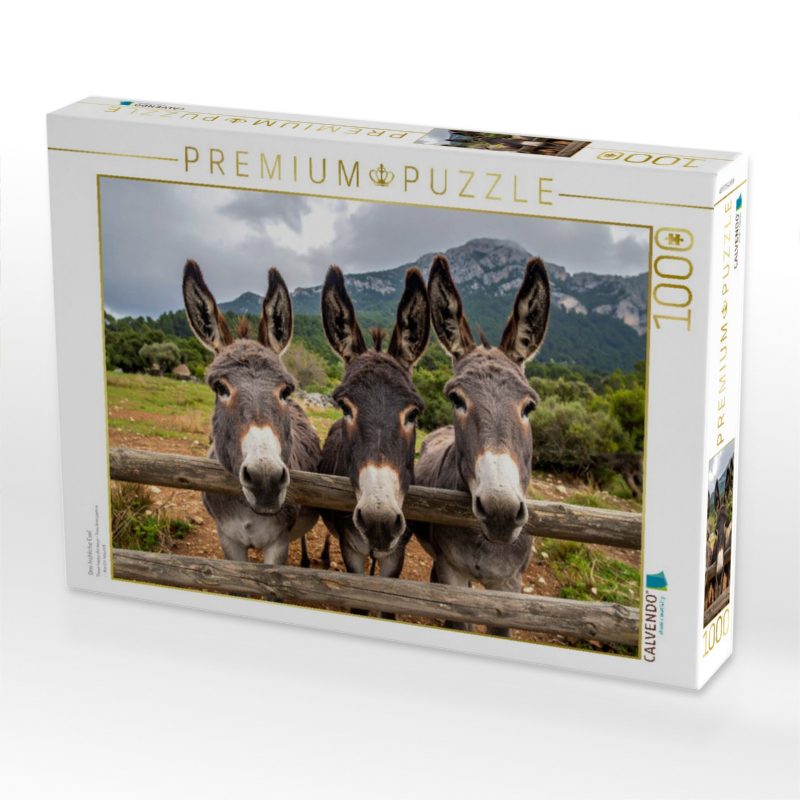 Drei fröhliche Esel