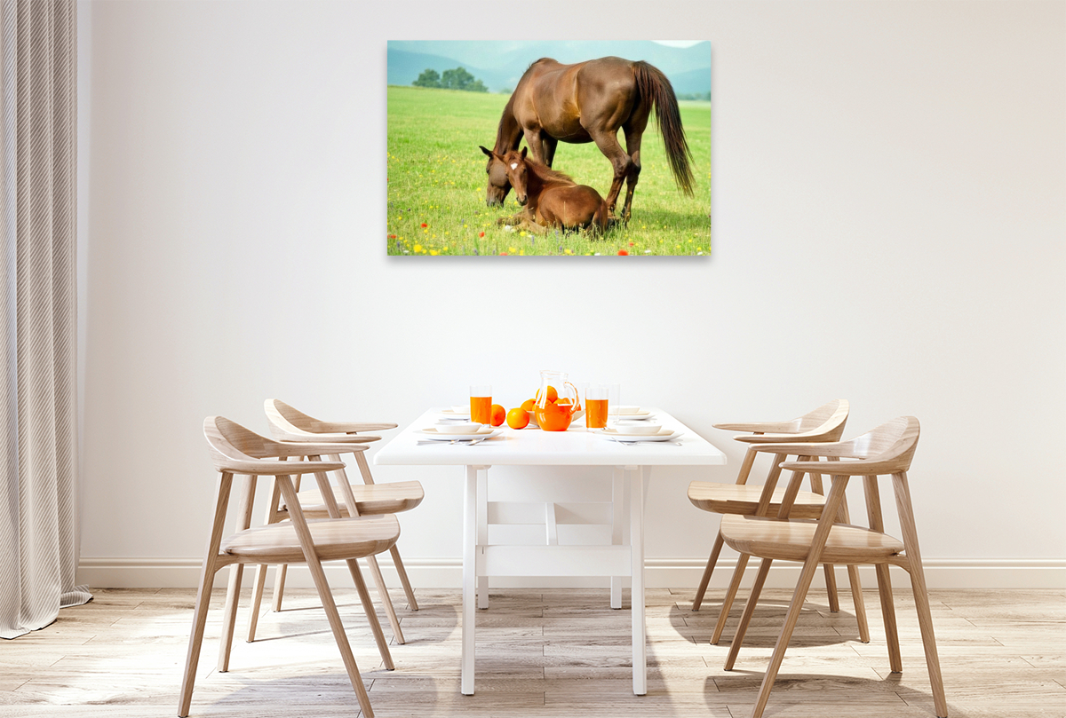 Warmblutstute und Fohlen