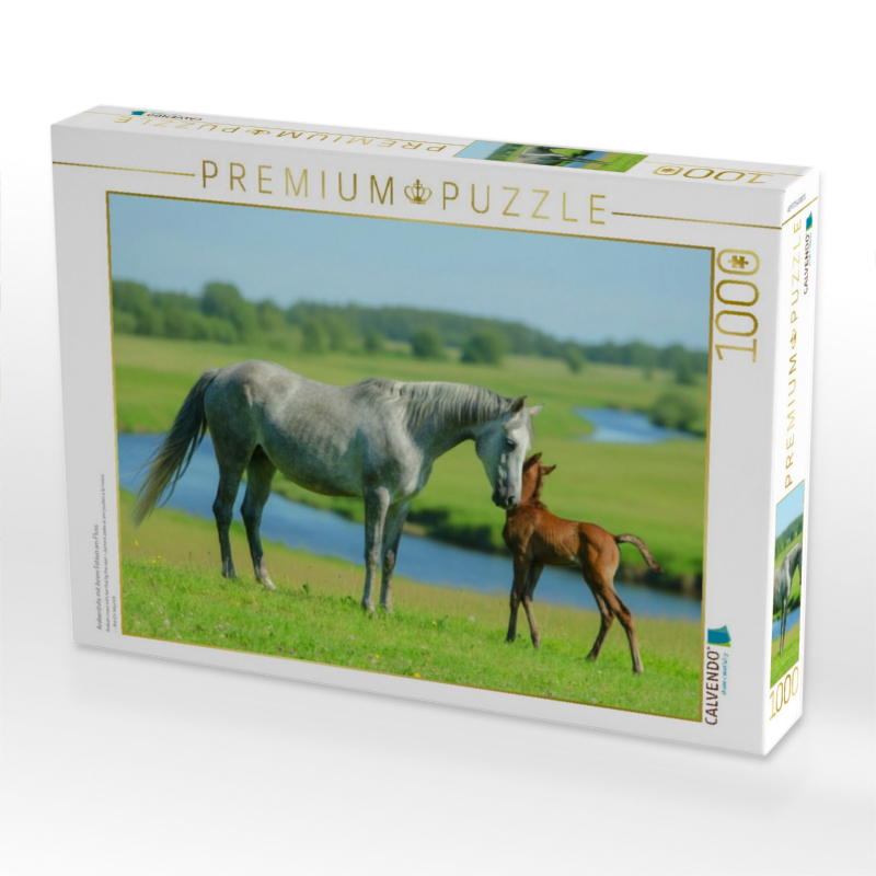 Araberstute mit ihrem Fohlen am Fluss