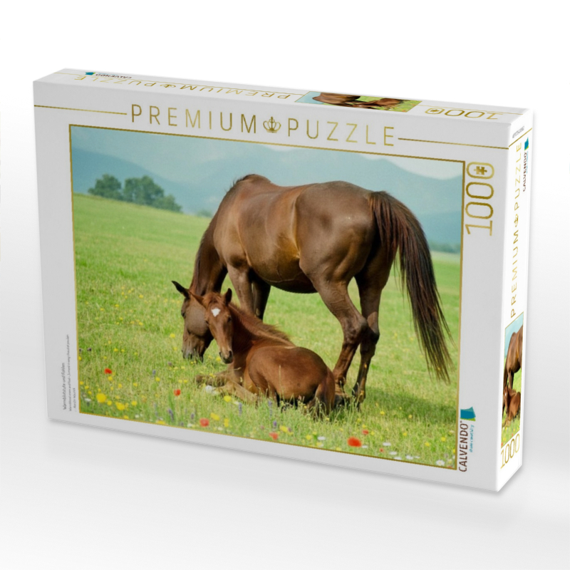 Warmblutstute und Fohlen