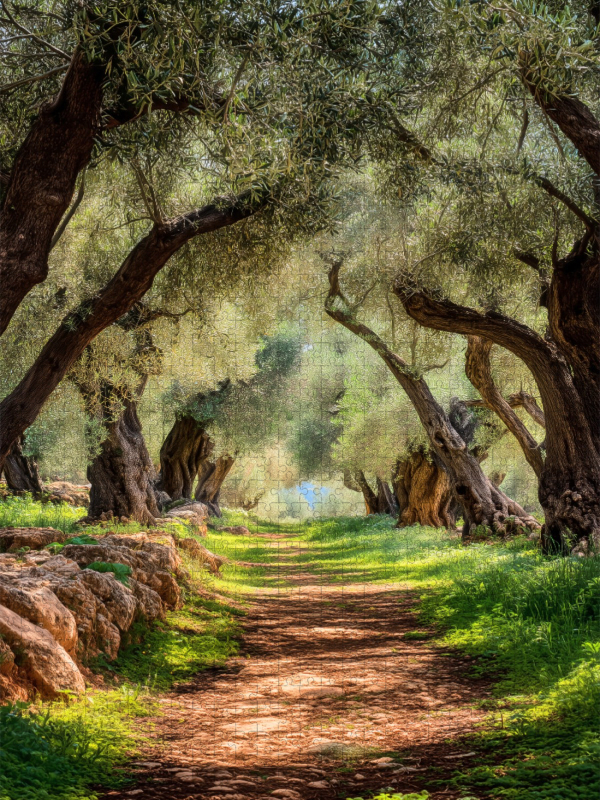 Ein Motiv aus dem Kalender Wo die Zeit Wurzeln schlägt