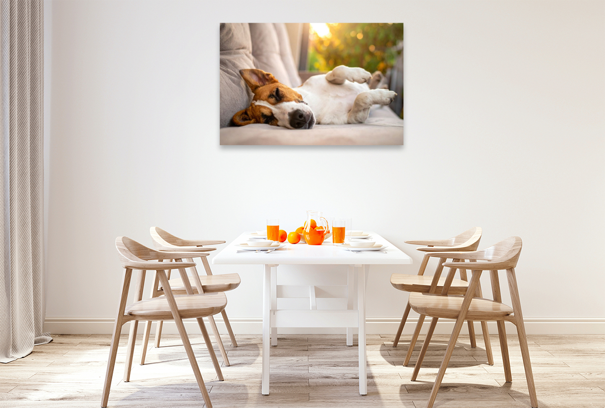 Terrier vor der nächsten Action im seligen Schlaf