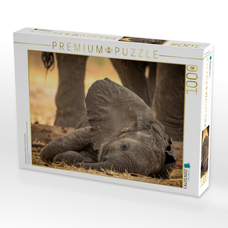 Elefantenbaby schlafend und gut beschützt