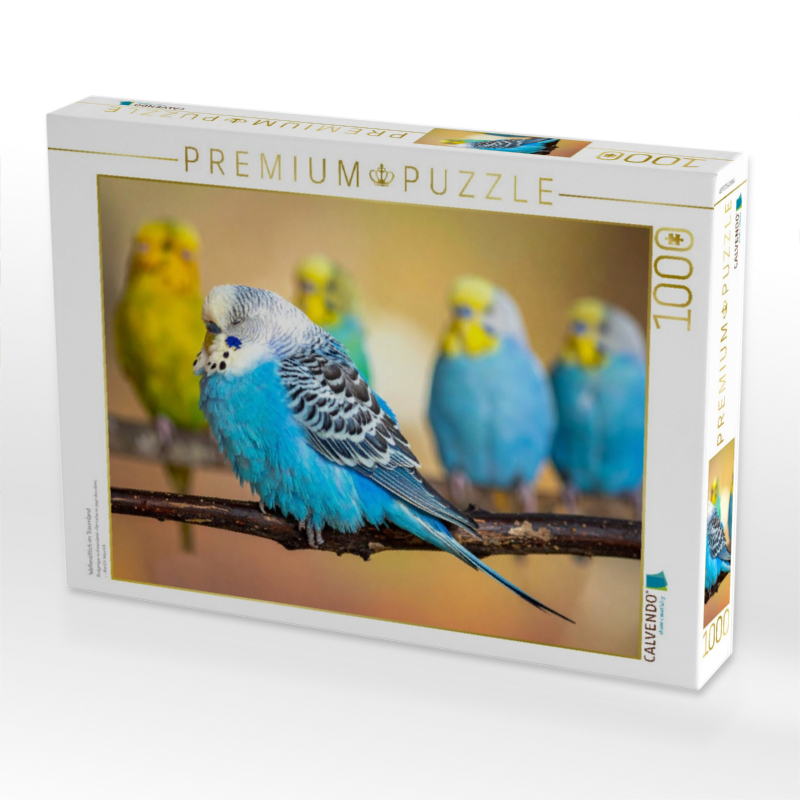 Wellensittich im Traumland