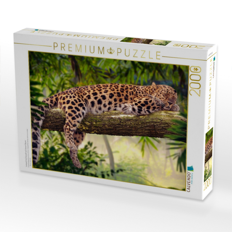 Leopard mit Auszeit auf einem Baum