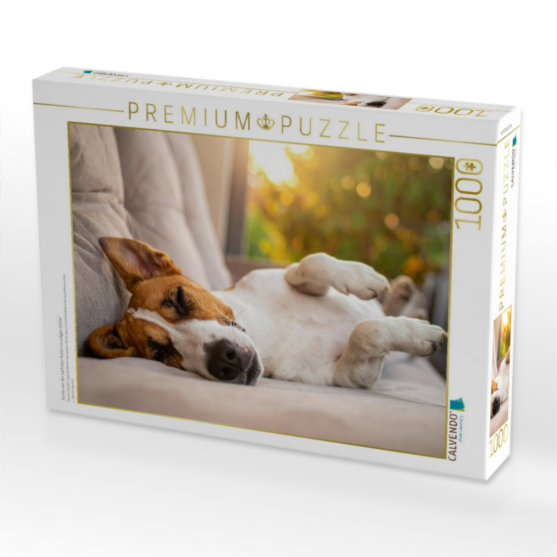 Terrier vor der nächsten Action im seligen Schlaf