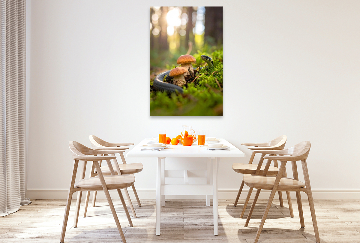 Rotkappen und Ringelnatter