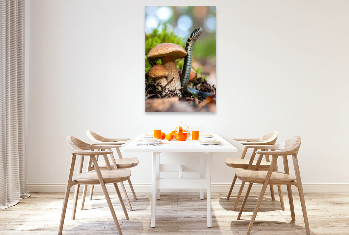 Steinpilz und Ringelnatter