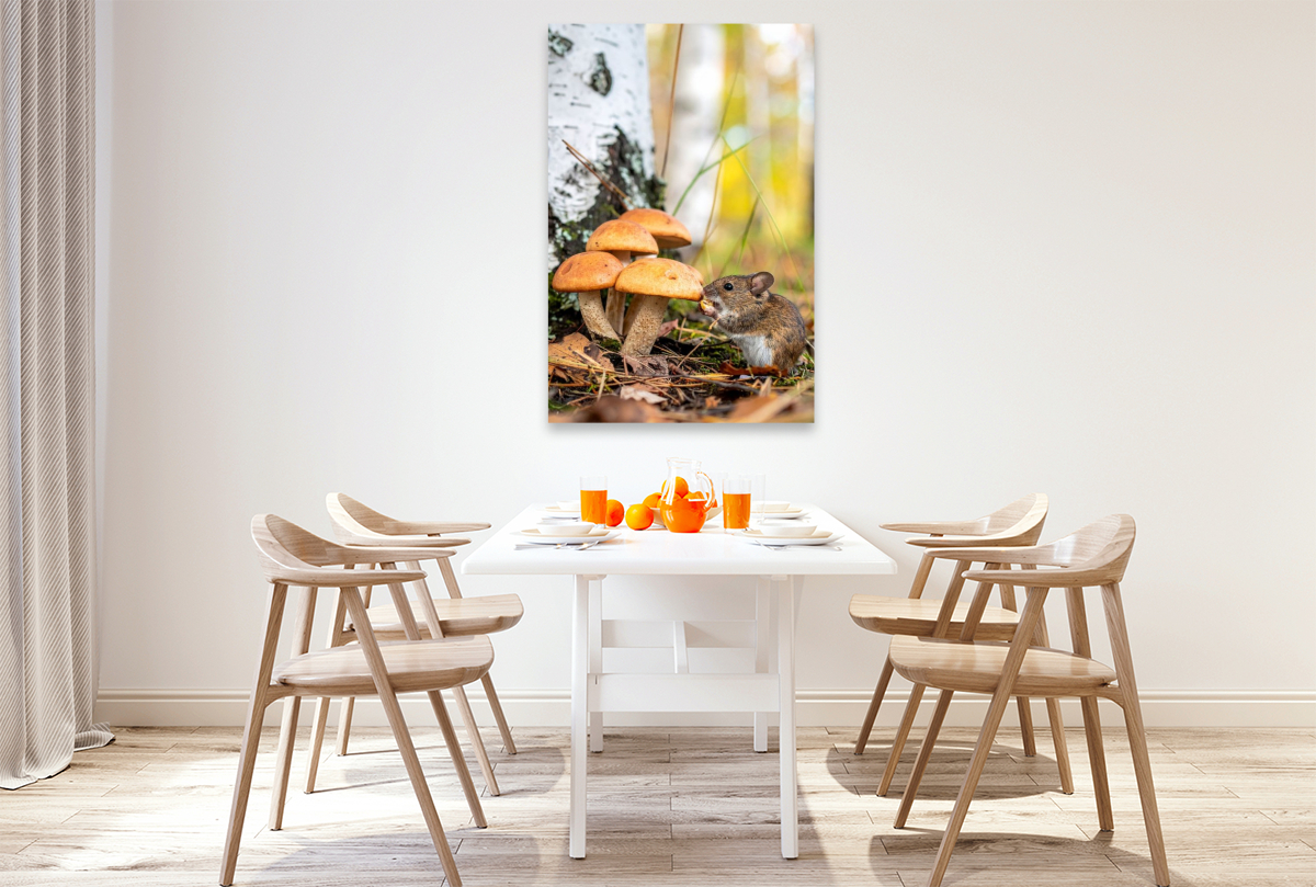 Birkenpilze und Maus