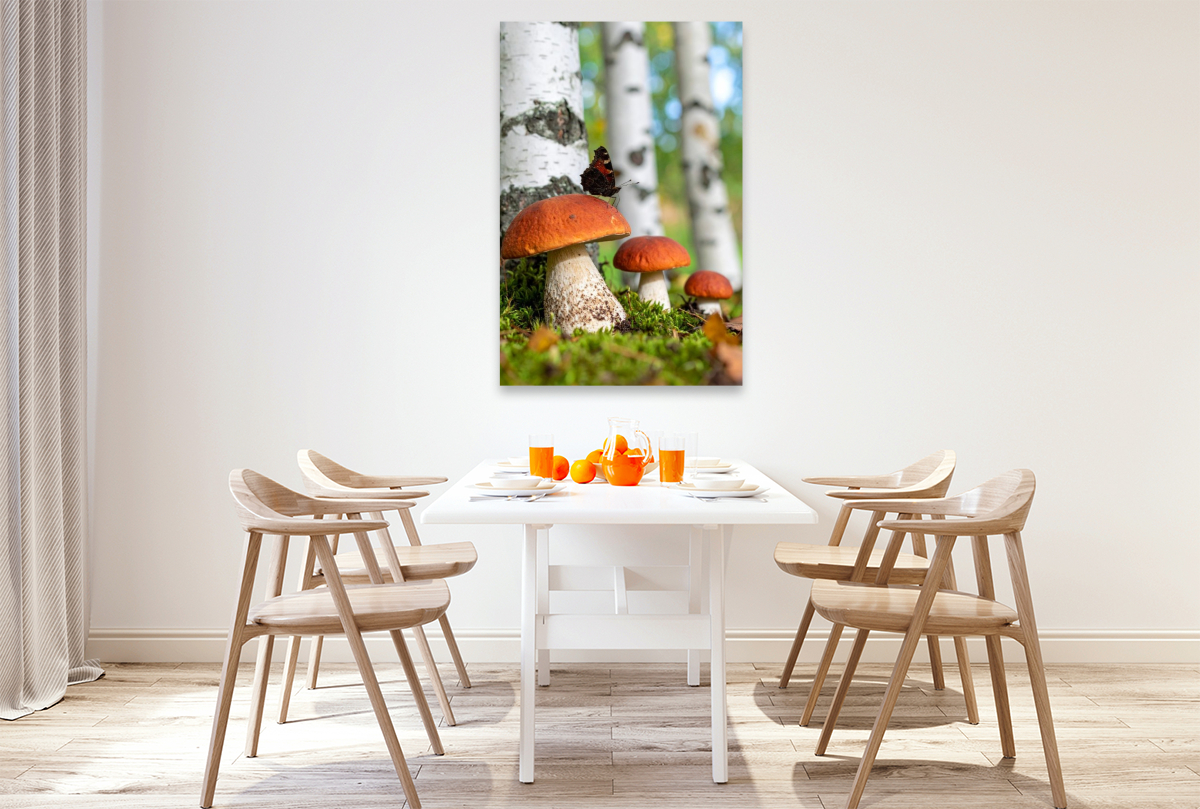 Rotkappen Pilze und Schmetterling