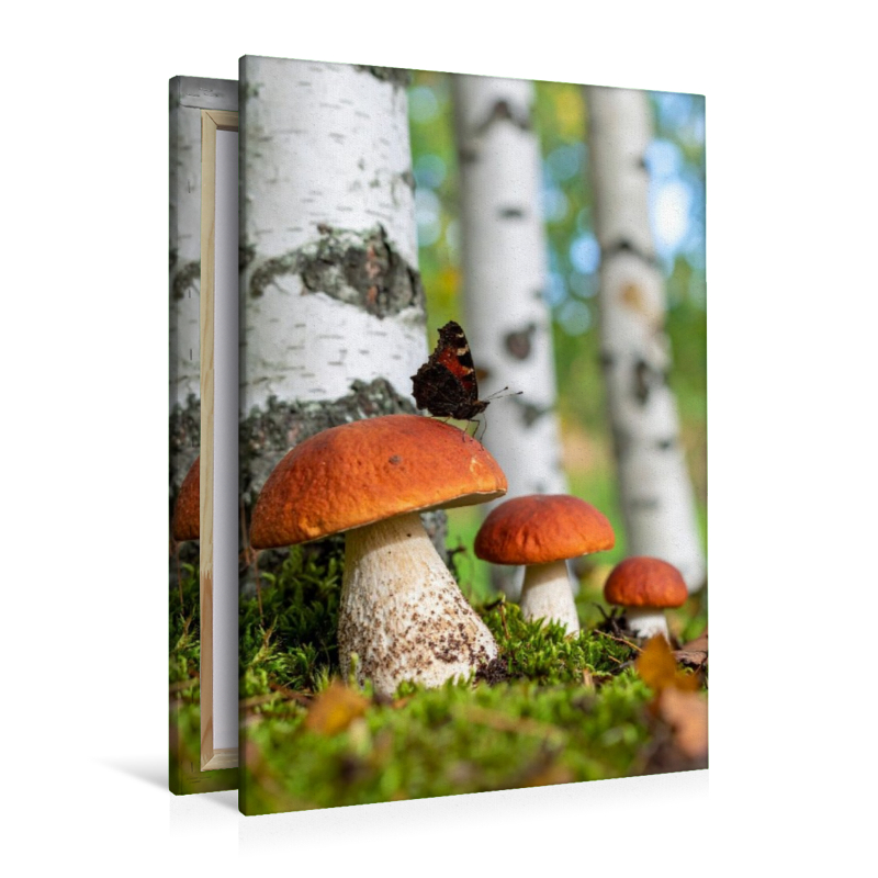 Rotkappen Pilze und Schmetterling