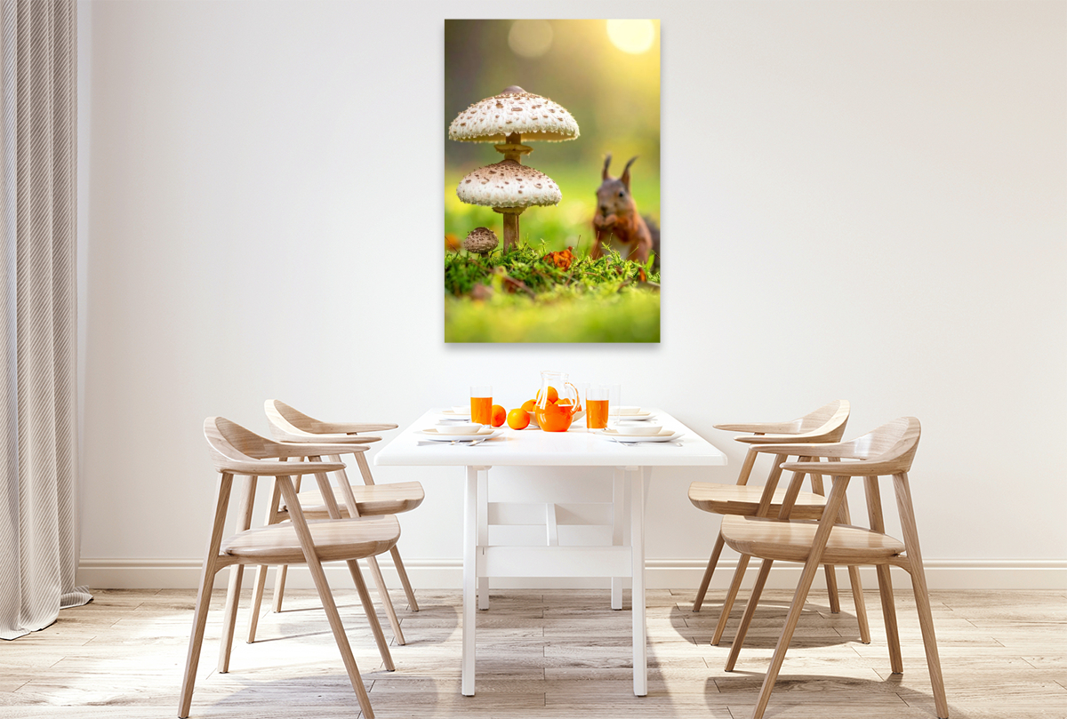 Eichhörnchen und Parasolpilze auf der Wiese