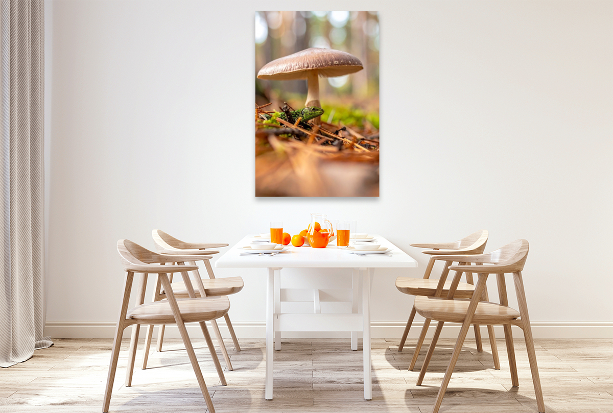 Schirmpilz und Eidechse