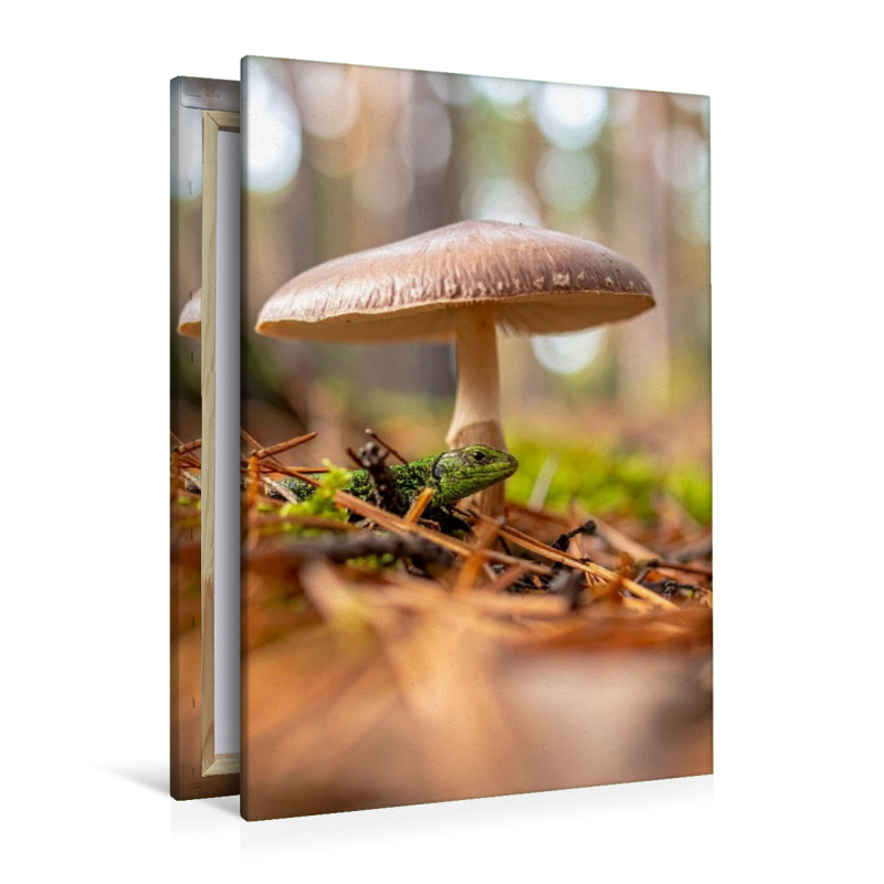 Schirmpilz und Eidechse