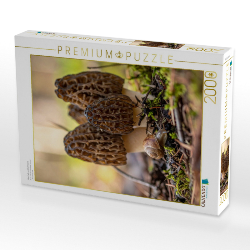 Morcheln und Schnecke