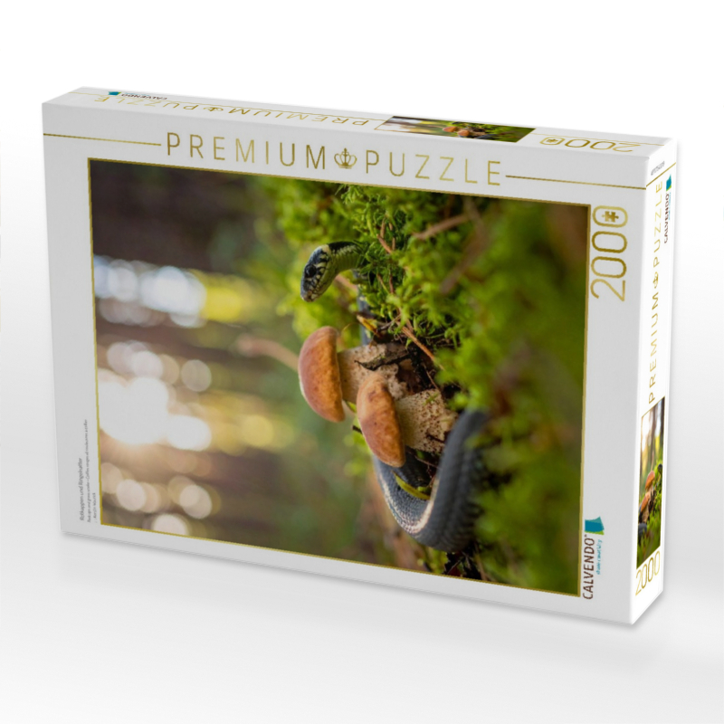 Rotkappen und Ringelnatter