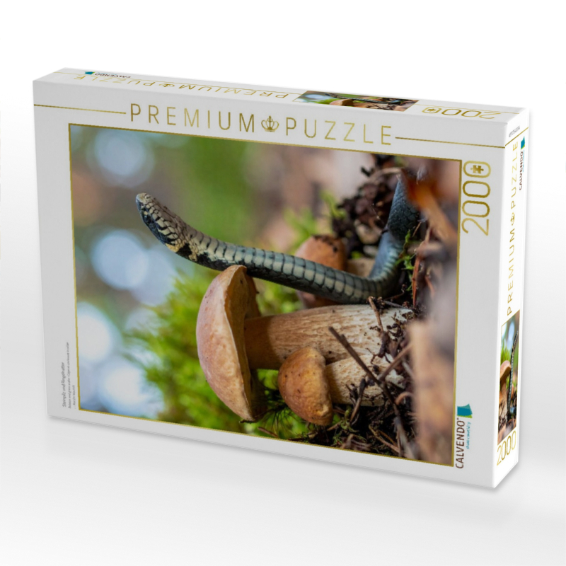 Steinpilz und Ringelnatter