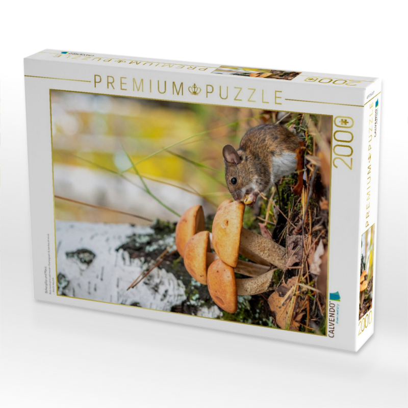 Birkenpilze und Maus