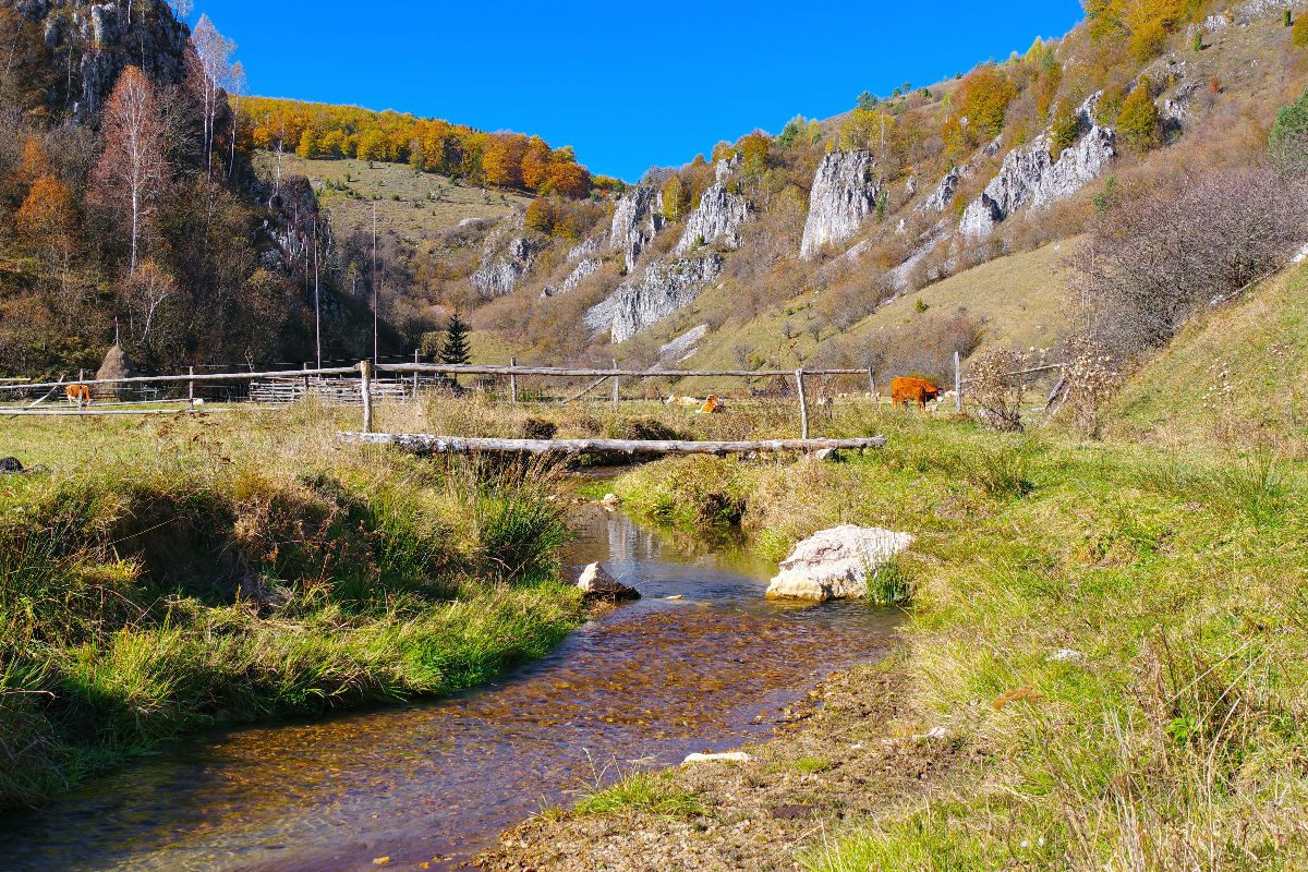 Leben zwischen Wiesen, Wasser und Himmel