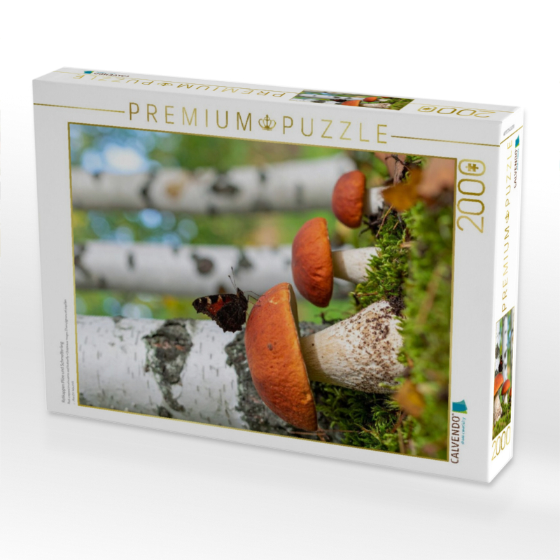 Rotkappen Pilze und Schmetterling