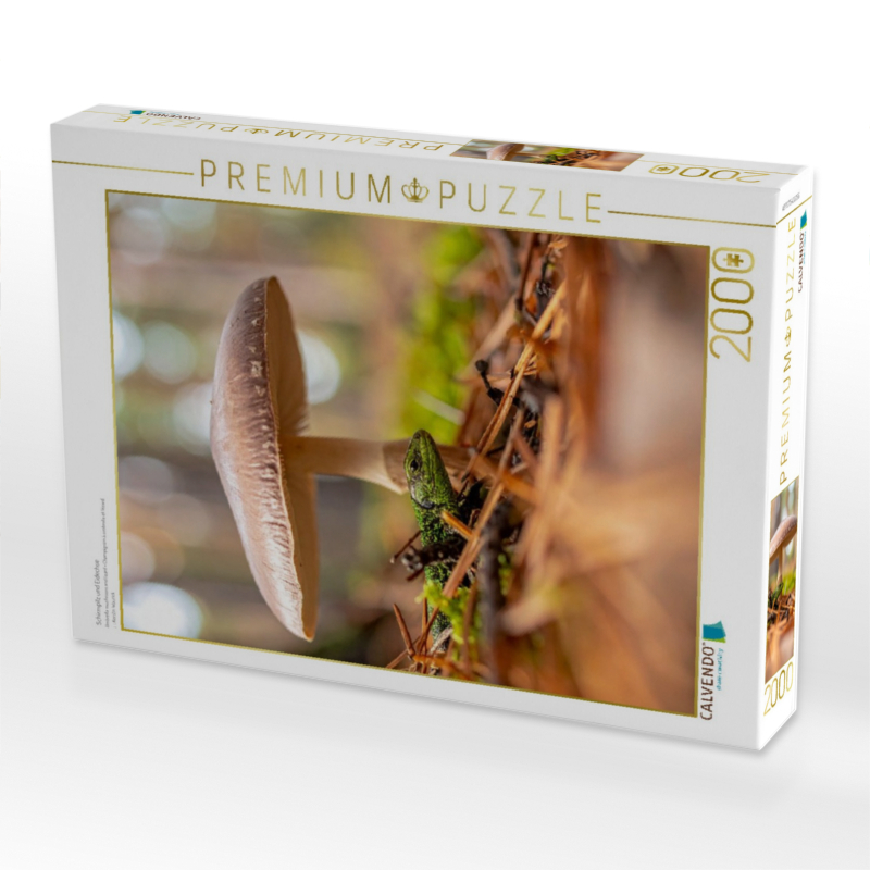 Schirmpilz und Eidechse