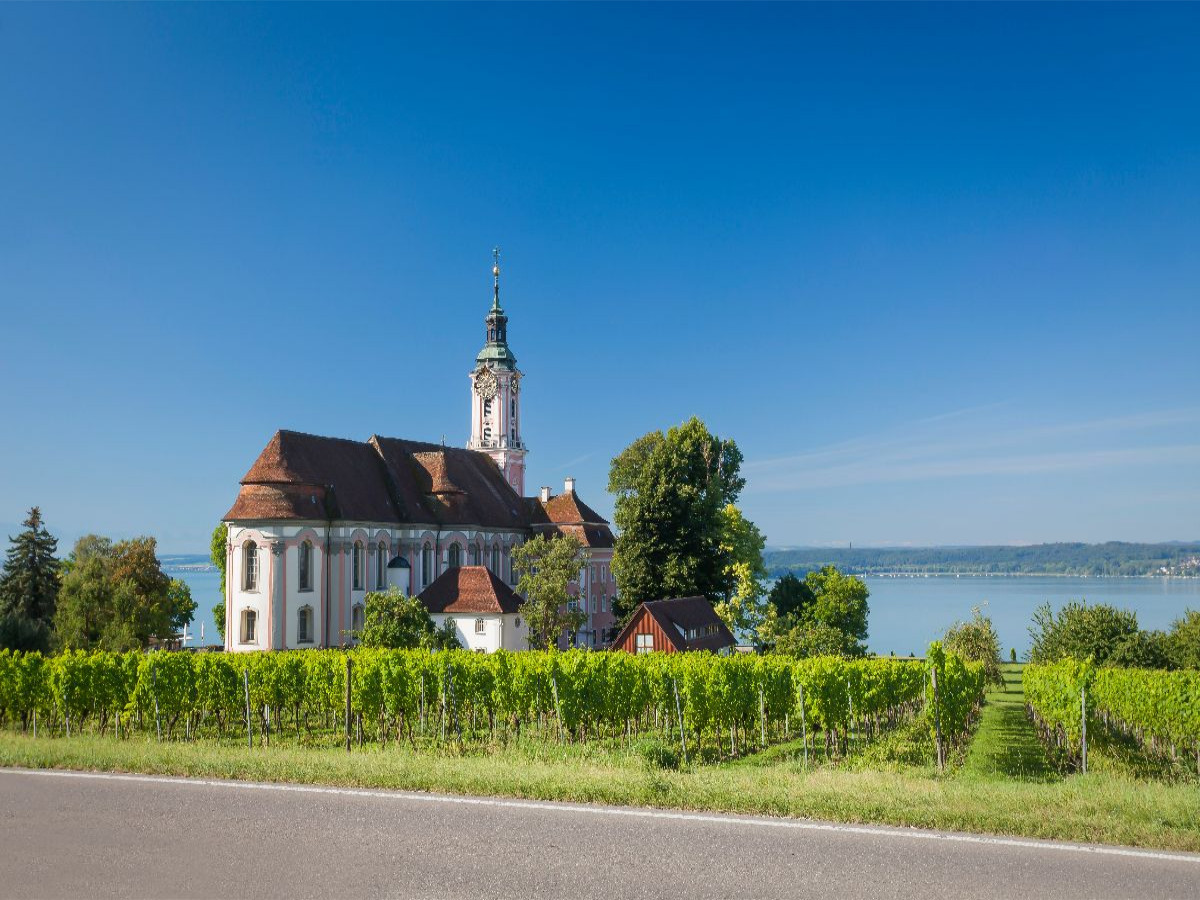 Wallfahrtskirche mit Weinbergen,Allgäu, Deutschland