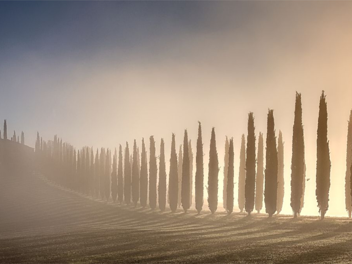 Poggio Covili, Toskana