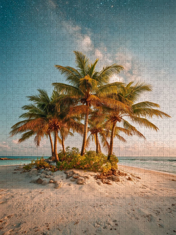 Ein Motiv aus dem Kalender Träumen unter Palmen